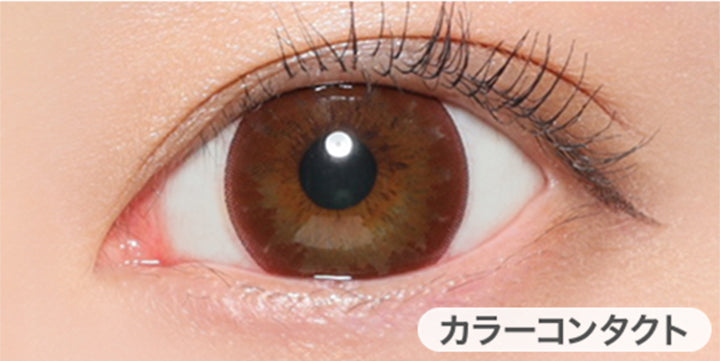 チョコレートの装用写真,DIA14.2mm|ヴィクトリアワンデー(Victoria 1day)コンタクトレンズ