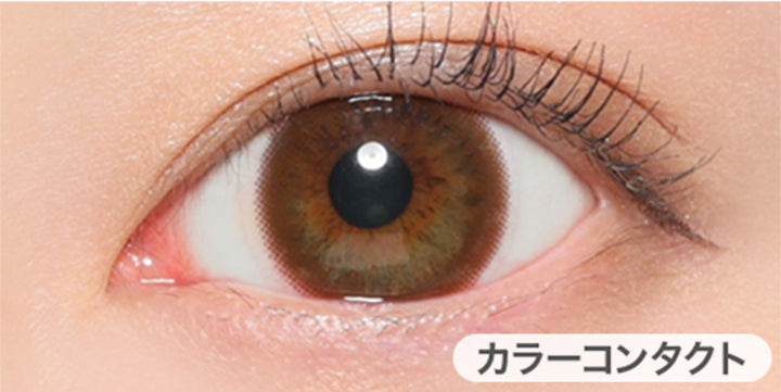 ブラウンの装用写真,DIA14.2mm|ヴィクトリアワンデー(Victoria 1day)コンタクトレンズ