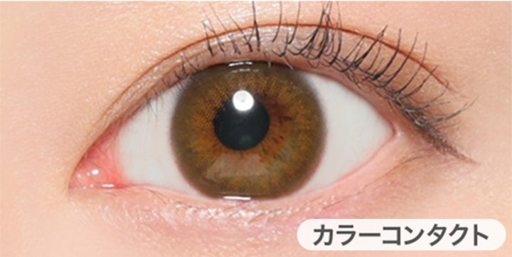 シルキーヴェールの装用写真,DIA14.2mm|ヴィクトリアワンデー(Victoria 1day)コンタクトレンズ