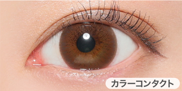 セピアの装用写真,DIA14.2mm|ヴィクトリア2ウィーク(Victoria 2week)コンタクトレンズ