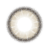 モラクワンデー(MOLAK 1day) ダズルグレー