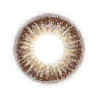 フランミー(FLANMY) 10枚 チョコタルト