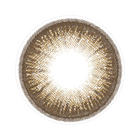 フランミー(FLANMY) 10枚 ダークモカ