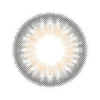 モラクワンデー(MOLAK 1day) ミラーグレー