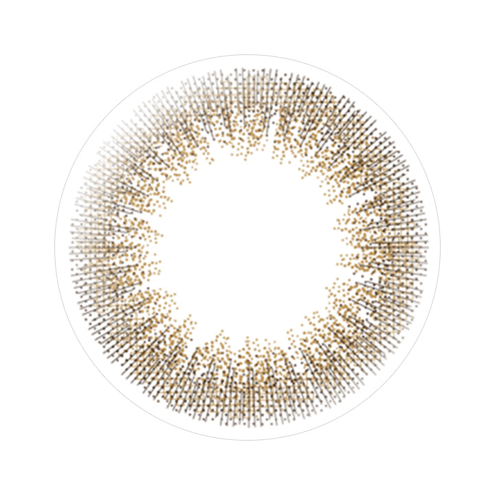 シックヴィンテージのレンズ画像|レリッシュ(LALISH)ワンデーコンタクトレンズ