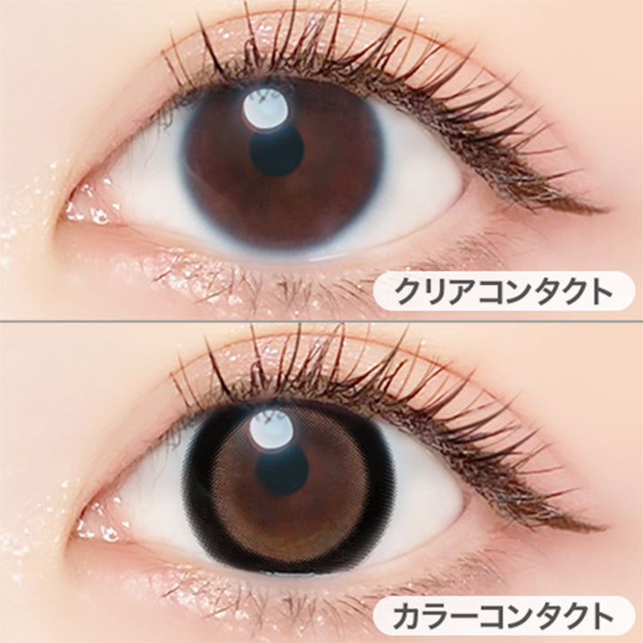 エバーカラーワンデーミリモア(EverColor1day MILIMORE) あまえんぼカカオ
