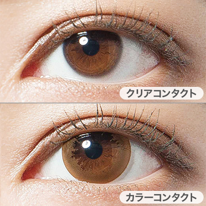 ハニーグラス(Honey Glass)の装用写真|デコラティブアイズヴェール DECORATIVE EYES VEIL 1day ワンデーコンタクトレンズ
