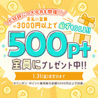 【大好評】今月も開催!!500ポイントプレゼントキャンペーン!!