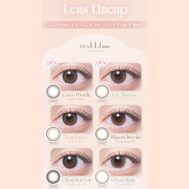 Lens Lineup,2wccks,6枚入,Bc:8.7mm,含水率:38.0%,Uvcut,Moist,Dia14.1mm,New,Coco Poodle,ココプードル,New,Lily Moussc,リリームース,Tear Latte,ティアーラテ,Mignon Chocolat,ミニョンショコラ,Chouchou Noir,チュチュノワール,Urban Brun,アーバンプラン|エルージュ(eRouge) 2weeks カラコン カラーコンタクト

