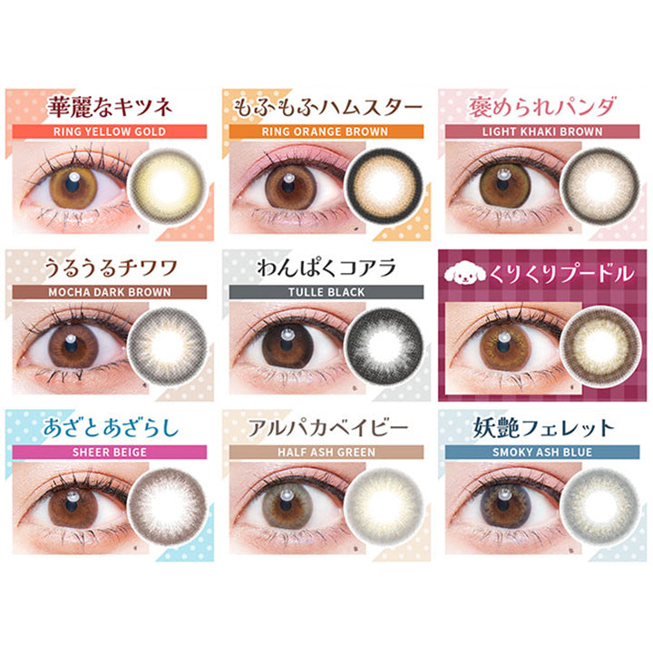 フルーリーバイカラーズ(Flurry by colors) リングラージブラウン(ぱちくりベアー)