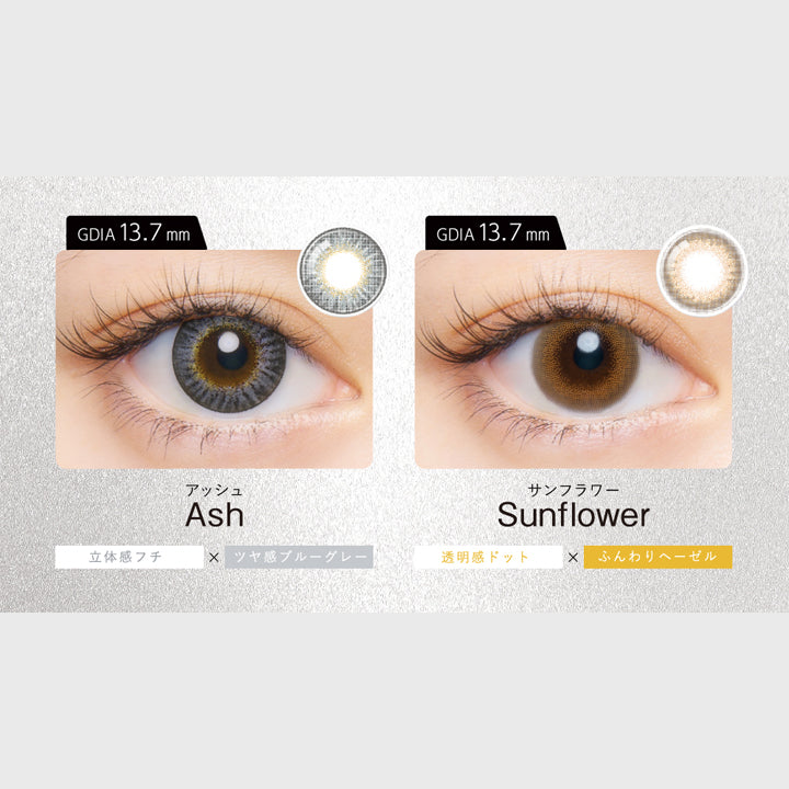 (ラインナップ4)DIA14.5mm series,アッシュ(Ash) 着色直径13.7mm 立体感フチ × ツヤ感ブルーグレー,サンフラワー(Sunflower) 着色直径13.7mm 透明感ドット × ふんわりヘーゼル | クルーム Cruum 1day カラコン カラーコンタクト
