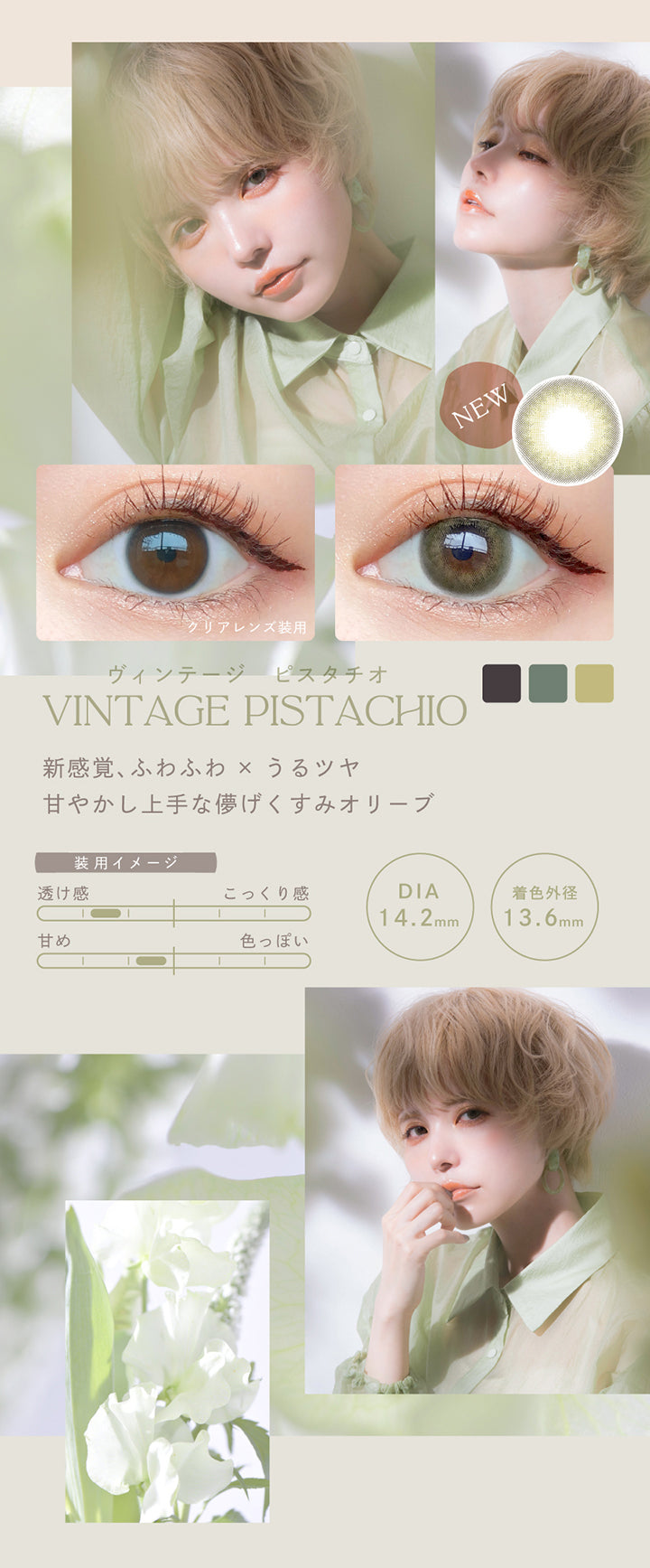 Vintage PISTACHIO(ヴィンテージピスタチオ),新感覚、ふわふわ×うるツヤ,甘やかし上手な儚げくすみオリーブ,DIA14.2mm,着色外径13.6mm,BC8.5mm|エンジェルカラーバンビヴィンテージワンデー ワンデーコンタクトレンズ