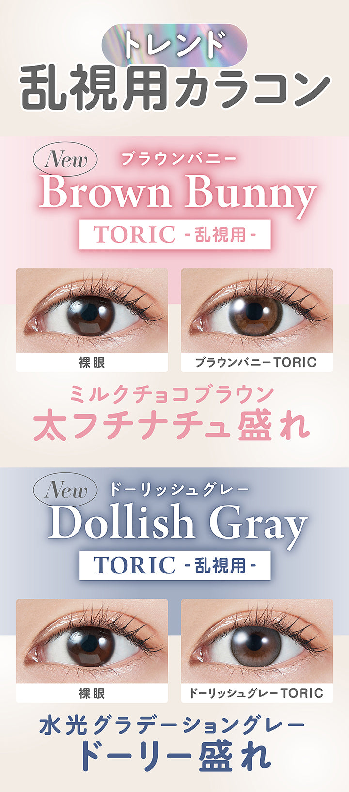 トレンド乱視用カラコン,ブラウンバニートーリック(Brown Bunnuy Toric),装用比較,ミルクチョコブラウン 太フチナチュ盛れ,ドーリッシュグレートーリック(Dollish Gray Toric),装用比較,水光グラデーショングレー ドーリー盛れ | モラクトーリック Molak toric 1day 乱視用カラコン カラーコンタクト
