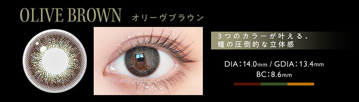 オリーブブラウン(Olive Brown),3つのカラーが叶える、瞳の圧倒的な立体感,DIA14.0mm,GDIA13.4mm,BC8.6mm | アンヴィ envie 1day カラコン カラーコンタクト
