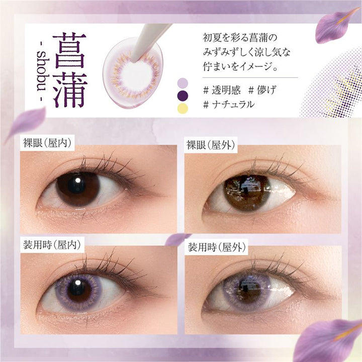 菖蒲(shobu), 初夏を彩る菖蒲のみずみずしく涼し気な佇まいをイメージ。, 透明感 儚げ ナチュラル, 屋内装用比較, 屋外装用比較 | 美少年画 ビショーネンガ Bishonenga 1day カラコン カラーコンタクト
