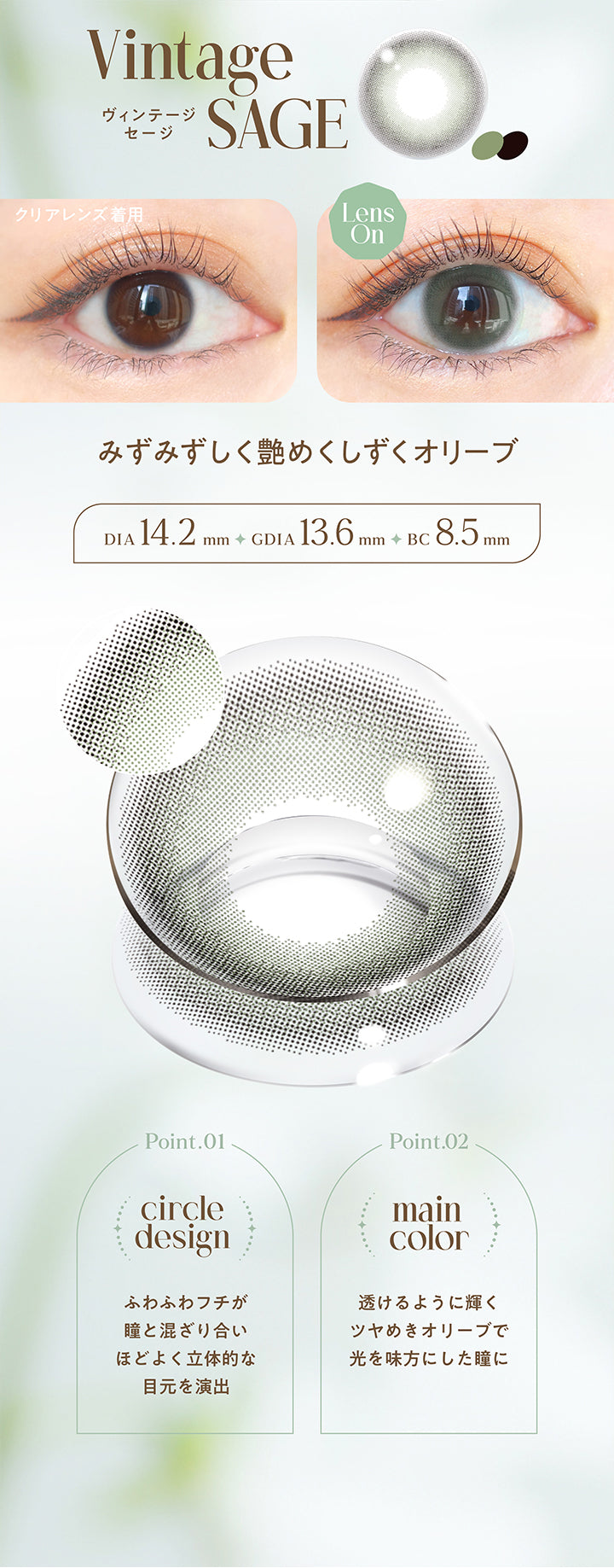 Vintage Sage, ヴィンテージセージ, クリアレンズ着用, Lens On, みずみずしく艶めくしずくオリーブ, DIA14.2mm, GDIA13.6mm, BC8.5mm, Point01 circle design, ふわふわフチが瞳と混ざり合い程よく立体的な目元を演出, Point02 main color, 透けるように輝くツヤめきオリーブで光を味方にした瞳に  | エンジェルカラーバンビシリーズヴィンテージワンデー Angelcolor Bambi Series Vintage 1day カラコン カラーコンタクト
