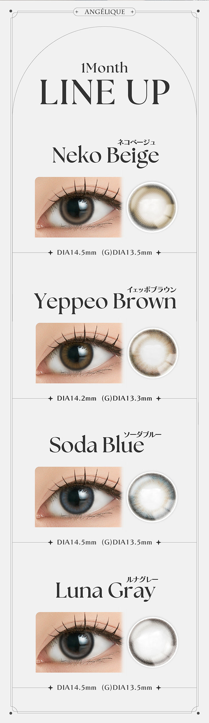 Angelique, 1month Line up, Neko Beige, ネコベージュ, DIA14.5mm, GDIA13.5mm, Yeppeo Brown, イェッポブラウン, DIA14.2mm, GDIA13.3mm, Soda Blue, ソーダブルー, DIA14.5mm, GDIA13.5mm, Luna Gray, ルナグレー, DIA14.5mm, GDIA13.5mm | アンジェリーク Angelique 1month カラコン カラーコンタクト
