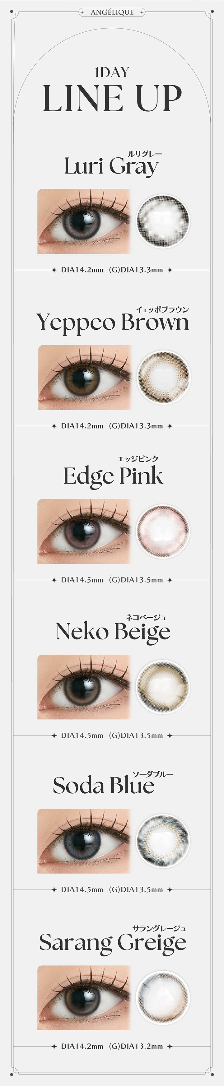 Angelique, 1day Line up, Luri Gray, ルリグレー, DIA14.2mm, GDIA13.3mm, Yeppeo Brown, イェッポブラウン, DIA14.2mm, GDIA13.3mm, Edge Pink, エッジピンク, DIA14.5mm, GDIA13.5mm, Neko Beige, ネコベージュ, DIA14.5mm, GDIA13.5mm, Soda Blue, ソーダブルー, DIA14.5mm, GDIA13.5mm, Sarang Greige, サラングレージュ, DIA14.2mm, GDIA13.2mm | アンジェリークワンデー Angelique 1day カラコン カラーコンタクト
