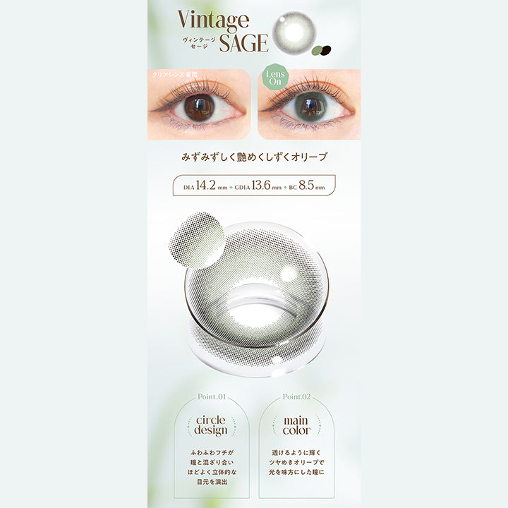 Vintage Sage, ヴィンテージセージ, クリアレンズ着用, Lens On, みずみずしく艶めくしずくオリーブ, DIA14.2mm, GDIA13.6mm, BC8.5mm, Point01 circle design, ふわふわフチが瞳と混ざり合い程よく立体的な目元を演出, Point02 main color, 透けるように輝くツヤめきオリーブで光を味方にした瞳に  | エンジェルカラーバンビシリーズヴィンテージワンデー Angelcolor Bambi Series Vintage 1day カラコン カラーコンタクト
