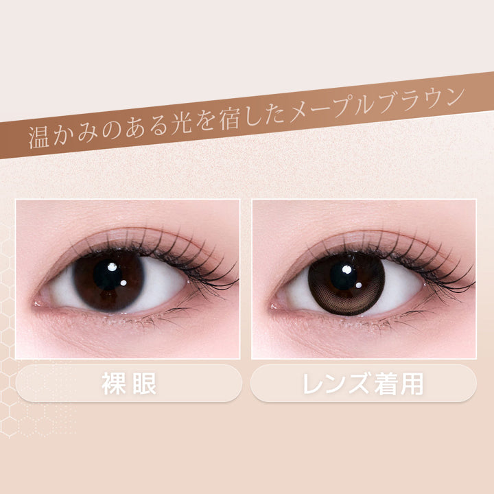 アプリコットメープル(Apricot Maple)の装用画像,温かみのある光を宿したメープルブラウン | 蜜のレンズ クワイエットポイズ mitunolens quiet poise 1day カラコン カラーコンタクト
