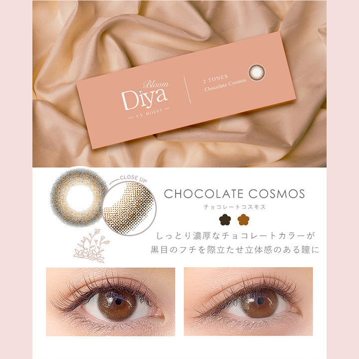 ダイヤブルーム(Diya Bloom) チョコレートコスモス