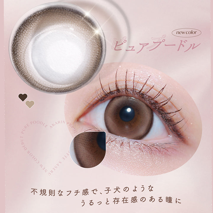 new color,ピュアプードル,不規則なフチ感で、子犬のような,うるっと存在感のある瞳に|メロット(melotte) 1day カラコン カラーコンタクト
