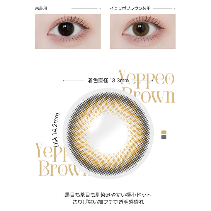 イェッポブラウン(Yeppeo Brown) の紹介,どんな気分にも寄り添う王道ブラウン。自然な透明感と明るめ発色で、優しい印象を演出。毎日使いたくなる定番カラー。,黒目も茶目も馴染みやすい極小ドット。さりげない細フチで透明感盛れ。, 1day / 1month DIA14.2mm GDIA13.3mm BC8.6mm,装用比較画像,レンズ画像 | アンジェリークワンデー Angelique 1Day カラコン カラーコンタクト
