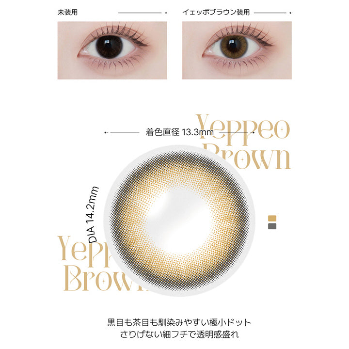 イェッポブラウン(Yeppeo Brown)の紹介,どんな気分にも寄り添う王道ブラウン。自然な透明感と明るめ発色で、優しい印象を演出。毎日使いたくなる定番カラー。,黒目も茶目も馴染みやすい極小ドット。さりげない細フチで透明感盛れ。, 1day / 1month DIA14.2mm GDIA13.3mm BC8.6mm ,装用比較画像,レンズ画像 | アンジェリーク Angelique monthly カラコン カラーコンタクト
