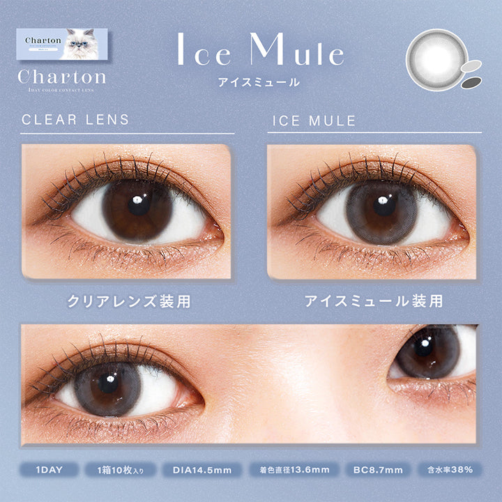 アイスミュール(Ice Mule), シャルトン(Charton), 1Day color contact lens, クリアレンズ装用, アイスミュール装用, 1day, 1箱10枚入り, DIA14.5mm,着色直径13.6mm, BC8.7mm, 含水率38.0%, モイスト成分配合 | シャルトンワンデー Charton 1DAY カラコン カラーコンタクト
