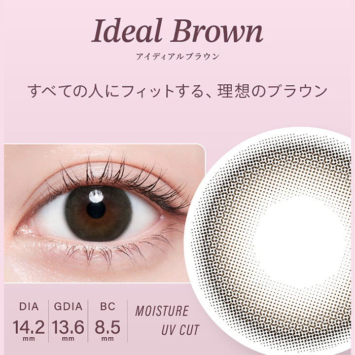 アイディアルブラウン(Ideal Brown) DIA14.2mm GDIA13.6mm BC8.5mm Moisture UVCut,すべての人にフィットする、理想のブラウン | ハイディ Haidey 1day カラコン カラーコンタクト
