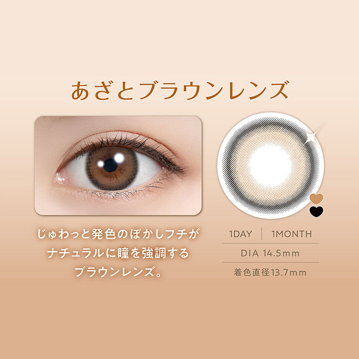 ティラミスリング(Tiramisu Ring) DIA14.5mm 着色直径13.7mm 1day 1month,じゅわっとフチ × 甘かわ盛れ,あざとブラウンレンズ,じゅわっと発色のぼかしフチがナチュラルに瞳を強調するブラウンレンズ,装用画像,レンズ画像 | フェリアモワンデー feliamo 1day カラコン カラーコンタクト
