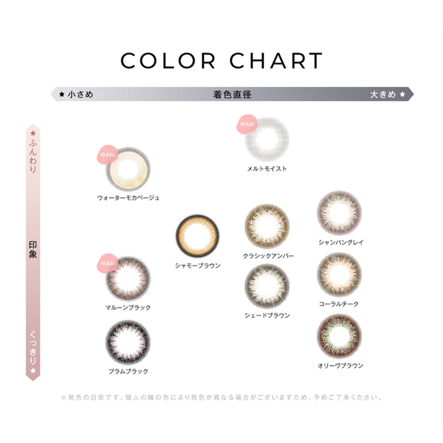アンヴィ(envie) 10枚 マルーンブラック