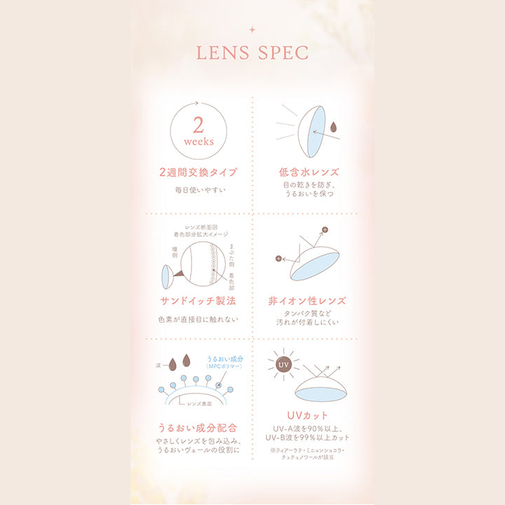 LENS SPEC , 2weeks 2週間交換タイプ 毎日使いやすい, 低含水レンズ 目の乾きを防ぎ、うるおいを保つ, レンズ断面図 着色部分拡大イメージ 瞳側 まぶた側 着色部, サンドイッチ製法 色素が直接目に触れない, 非イオン性レンズ タンパク質など汚れが付着しにくい, うるおい成分(MPCポリマー) うるおい成分配合 やさしくレンズを包み込み、うるおいヴェールの役割に, UVカット UV-A波を90%以上、 UV-B波を99%以上カット※ティアーラテ・ミニョンショコラ・ チュチュノワールが該当|エルージュ eRouge 2week カラコン カラーコンタクト
