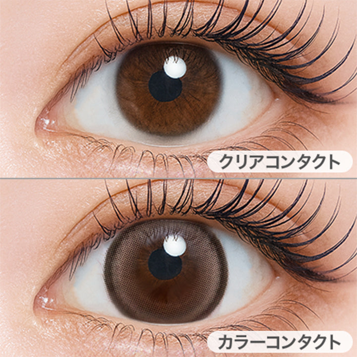 ミルクチーズケーキ(Milk Cheesecake)の装用画像 | シャルトンワンデー Charton 1day カラコン カラーコンタクト
