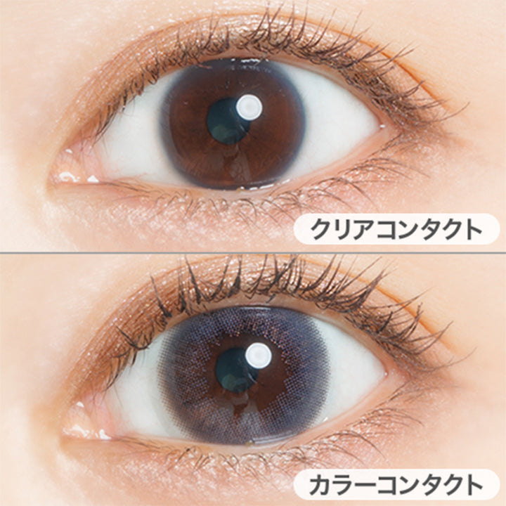 フェアリーワンデーシマーリングシリーズ(FAIRY 1day SHIMMERING