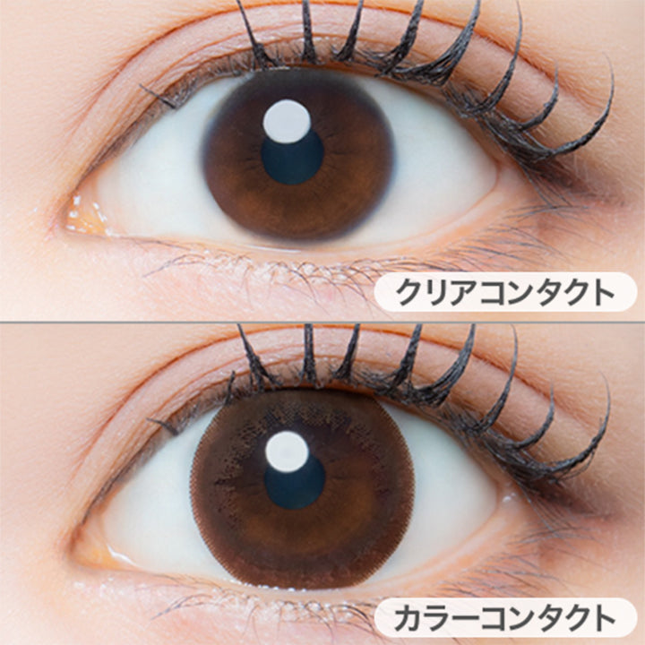 スリークブラウン(Sleek Blown)の装用画像 | アイジェニックバイエバーカラー Eyegenic by EverColor 1month カラコン カラーコンタクト
