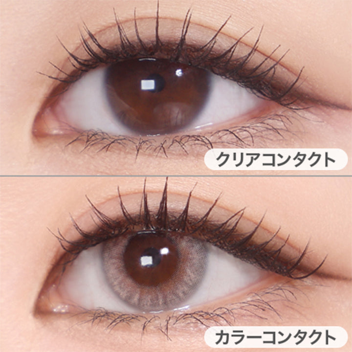 エスピー ベージュ(SP Beige)の装用画像 | メーン main 1day カラコン カラーコンタクト
