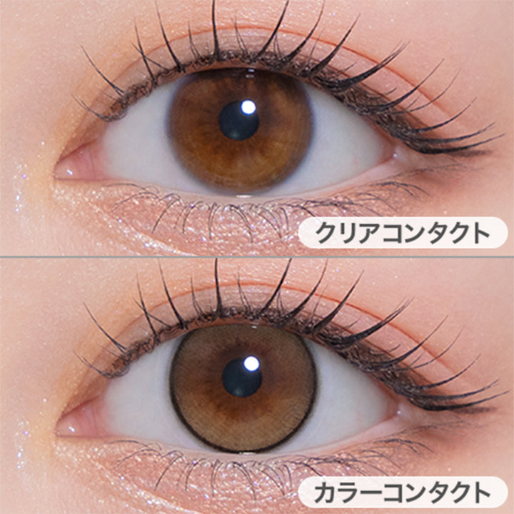 ドーリッシュブラウン(Dollish Brown)の装用画像 | モラクワンマンス Molak 1month カラコン カラーコンタクト
