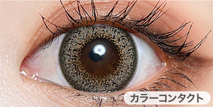 アッシュブラウン(Ash Brown)の装用画像 | トゥインクルアイズワンデー Twinkle Eyes 1day カラコン カラーコンタクト
