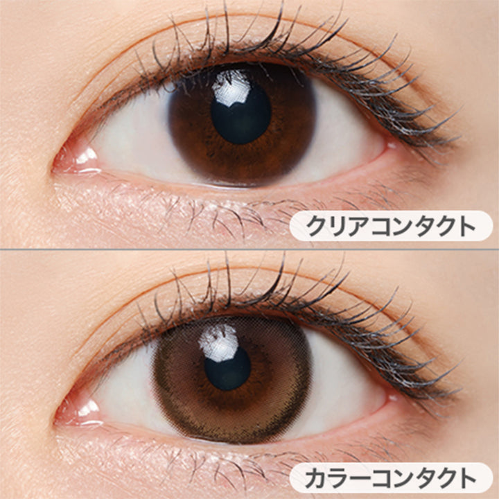 エクラブラウン(Eclat Brown)の装用画像 | ミフェ Mifee 1day カラコン カラーコンタクト
