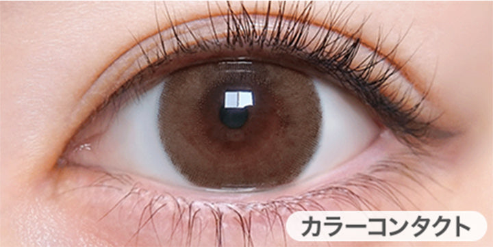 ゾッコンブラウン(Zokkon Brown)の装用画像 | トリコニナル Toriconinaru 1day カラコン カラーコンタクト

