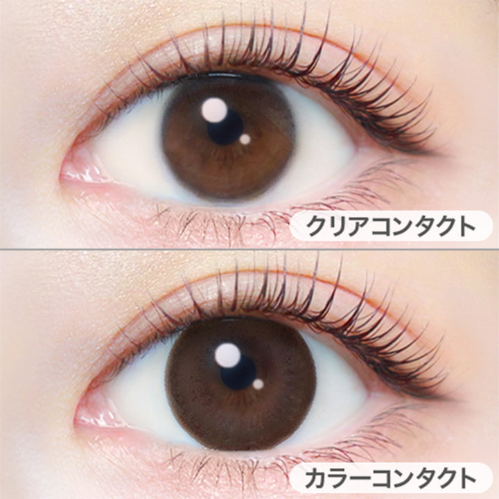 ナチュラルブラウン(Natural Brown)の装用写真|エバーカラーワンデーナチュラル EverColor1day Natural カラコン カラーコンタクト
