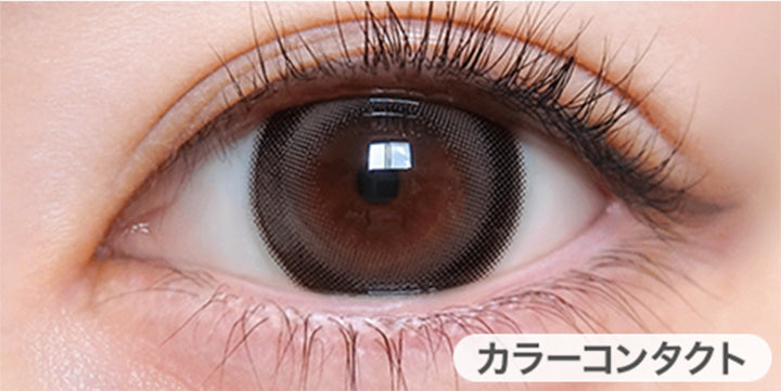 トリコニナル(TORICONINARU) 溺愛グレー｜カラコン送料無料 – カラコン