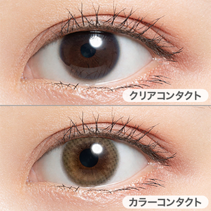ミルクティー TOWA ミルクティー 粉末 2p 紅茶 インスタント ギフト お配り