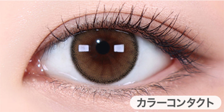 ホロリングブラウン(Holoring Brown)の装用画像 | ホロリスバイレンズミー Holoris By Lensme 1month monthly カラコン カラーコンタクト
