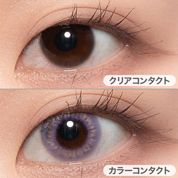 菖蒲(shobu)の装用画像 | 美少年画 ビショーネンガ Bishonenga 1day カラコン カラーコンタクト
