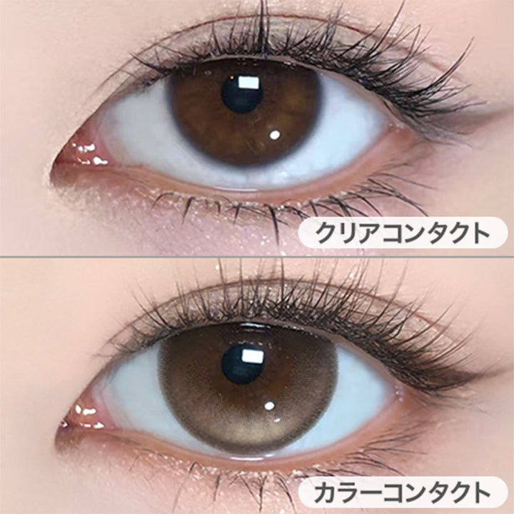 コファンシー(CoFANCY) モルテンパフ