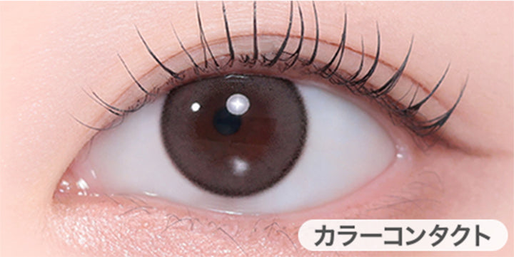アッシュズチョコ (Ashiz Choco)の装用画像 | ユース YOUS 1day カラコン カラーコンタクト
