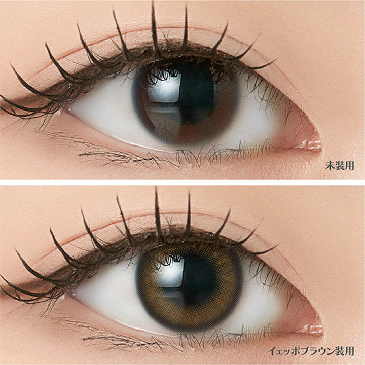 イェッポブラウン(Yeppeo Brown)の装用画像 | アンジェリークワンデー Angelique 1day カラコン カラーコンタクト
