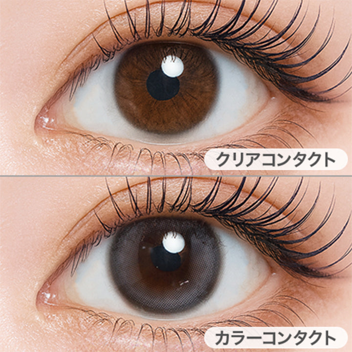 アイスミュール(Ice Mule)の装用画像 | シャルトンワンデー Charton 1day カラコン カラーコンタクト
